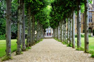 do trusts pay taxes